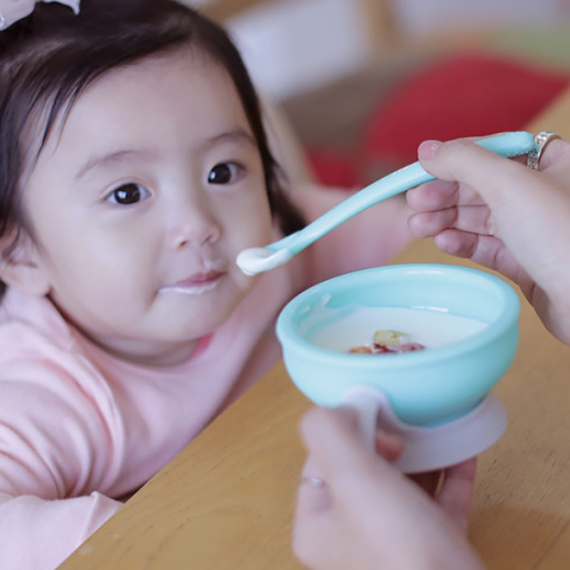 Silicone Bowl / Baby Feeding  Dishwasher oven Safe  BPA Free  Baby Utensils  BLW  Led Weaning  Toddler  Tableware  Dinnerware
